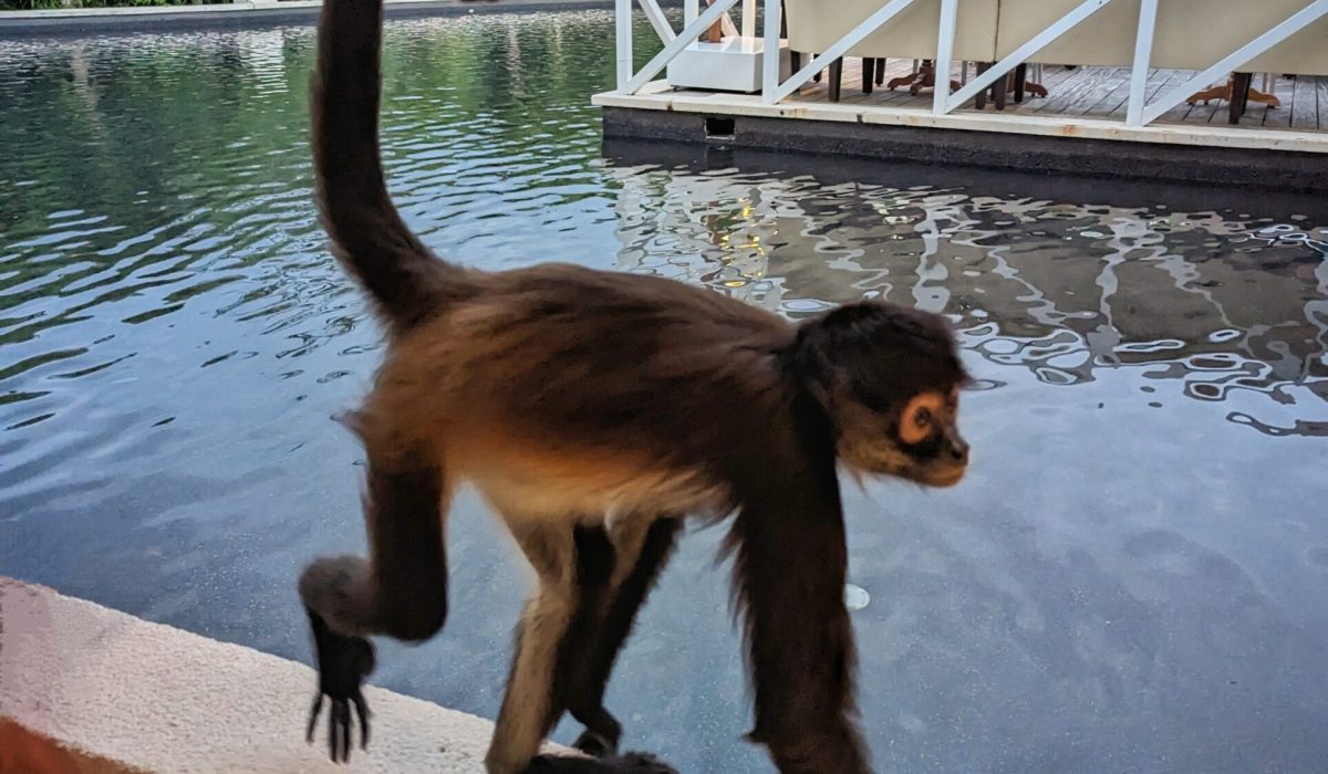 PXL_20230923_234954668~2-01